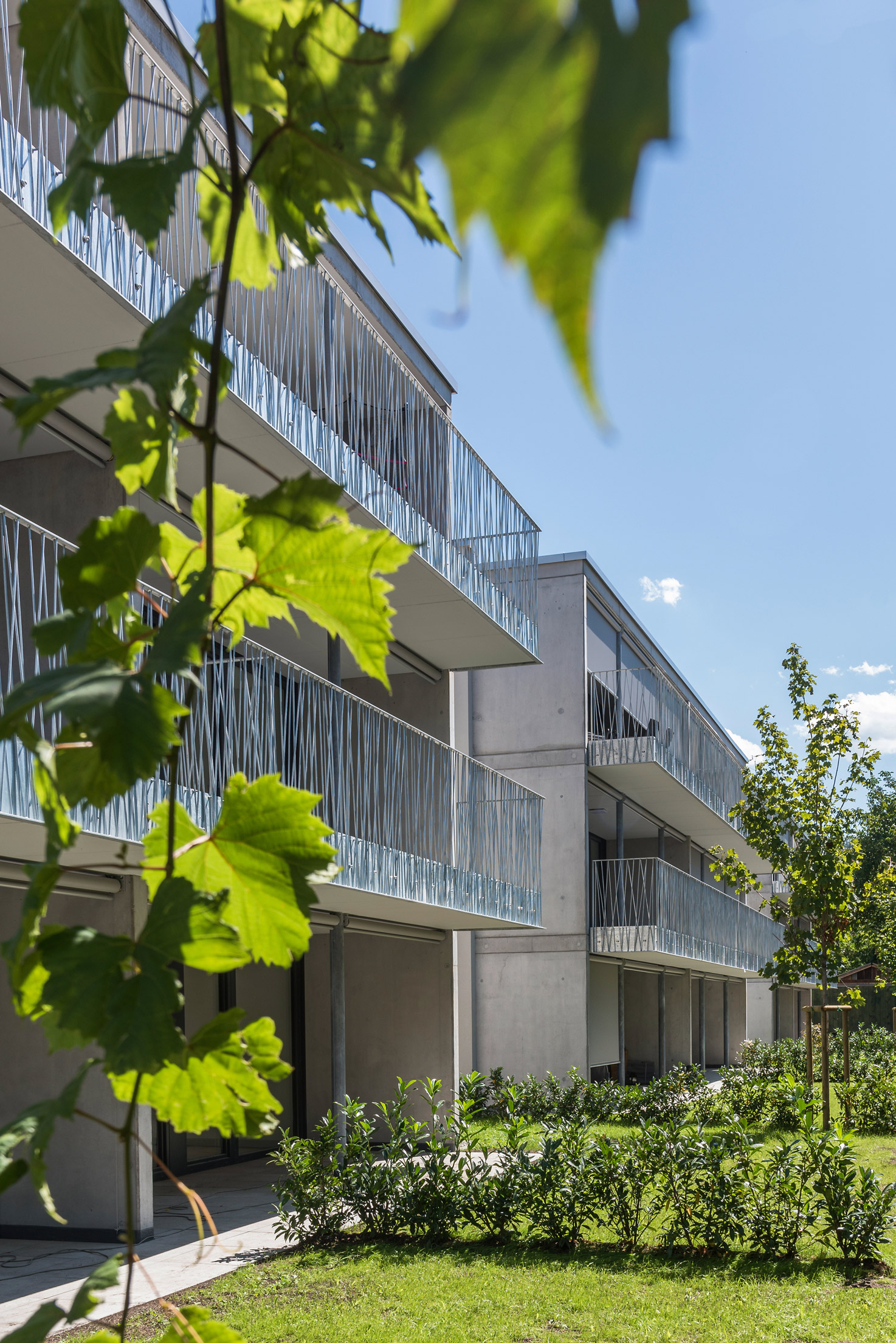 Wohnbau, Bifangstraße, Feldkirch - Bygningskonstruksjon