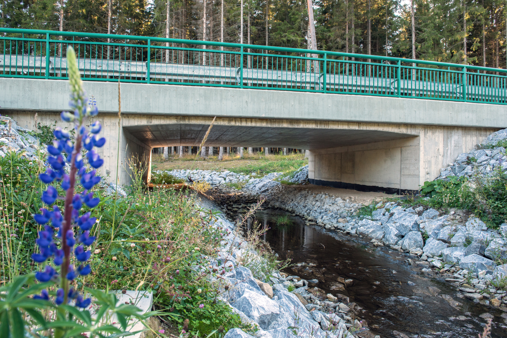 Zadní Zvonková – modernizace přístupu k hraničnímu přechodu CZ/AT - Vei- og brobygging