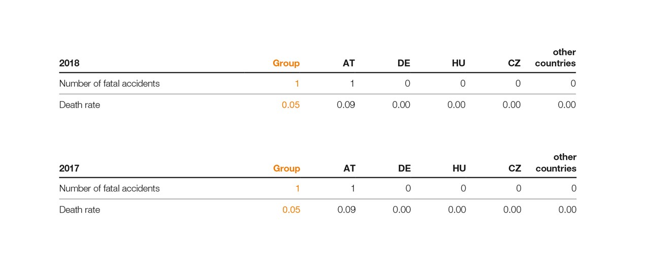 SWI NHB 69 Fatal Accidents EN L1 SWI NHB 69 Fatal Accidents EN L1