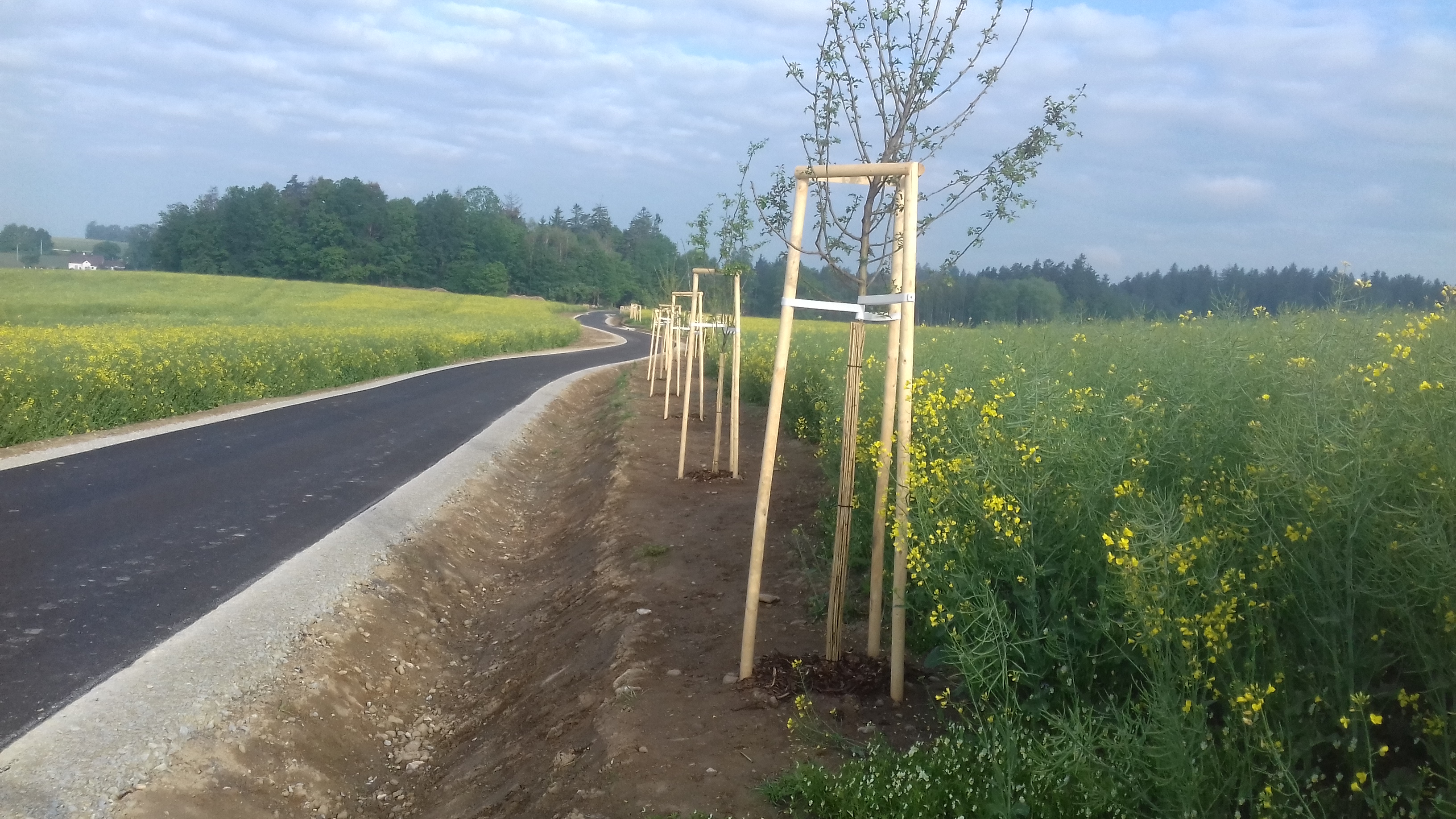 Cyklostezka – propojení katastrálních území Matná–Buk         - Vei- og brobygging